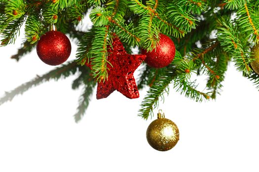 branch of Christmas tree with red and golden glass balls  isolated on white background 