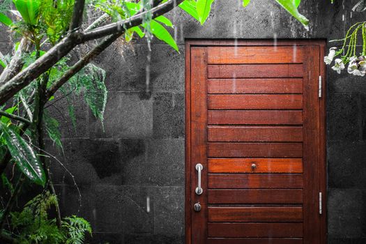 Vew at wooden door onto heavy tropical rain