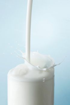 Splash of milk in glass on blue background