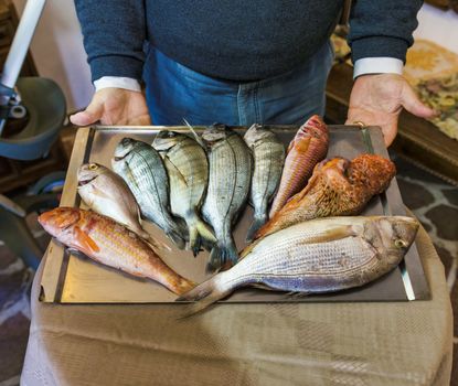 a man in a restaurant presents a plate with various types of fresh fish