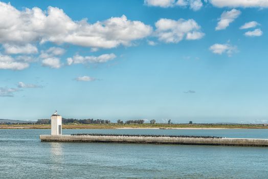 Cormorants on a seawall at the entrance to the harbor in the mouth of the Berg River in Laaiplek in the Western Cape Province of South Africa
