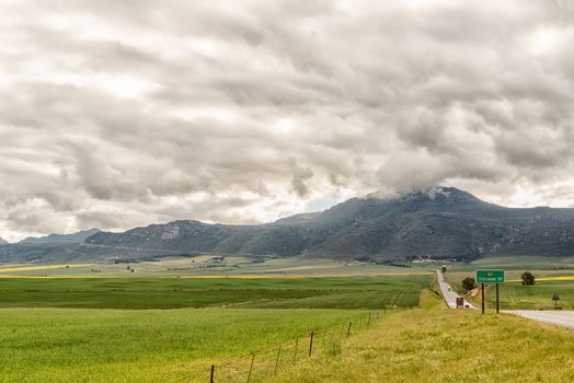 Farm landscape on road N7 between Piketberg and Citrusdal in the Western Cape Province. The Piekenierskloof Pass over the Olifants River Mountainsis visible in the back