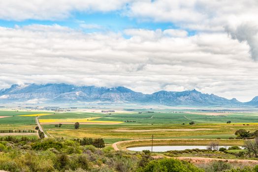 Farm landscape seen from the Piekenierskloof Pass between Piketberg and Citrusdal in the Western Cape Province. Canola and corn fields are visible