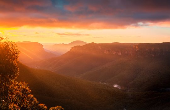 Sun rays streaming into Grose Valley Blue Mountains