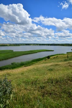 summer rural landscape with a lake