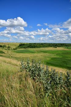 Beautiful summer country landscape in the steppe