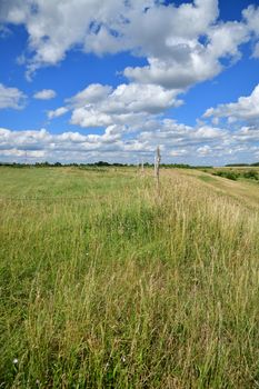 Beautiful summer country landscape in the steppe