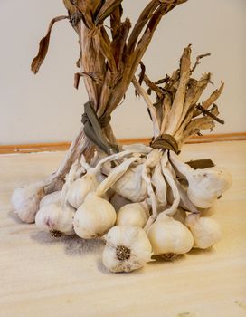 Some garlic heads to flavor the food