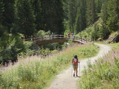 Along the Rutor Falls path, La Joux, Aosta Valley - Italy