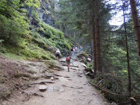 Along the Rutor Falls path, La Joux, Aosta Valley - Italy