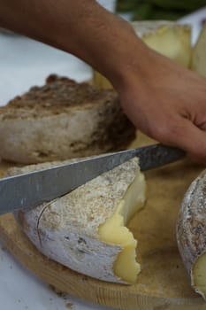 Forms of artisan cheese