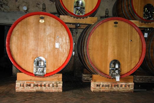 Wine cellar with Barolo wine