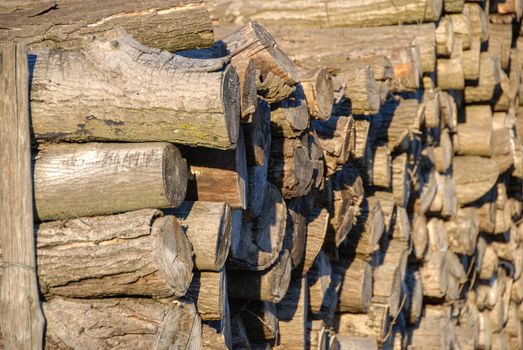 Stacks of firewood logs