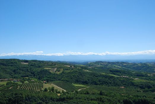 Langa hills around Albaretto Torre, Piedmont - Italy