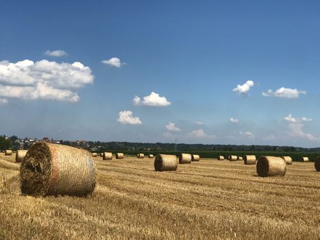 Country landscape with hay bales