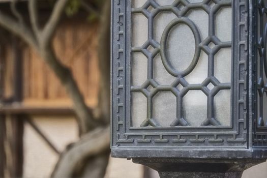 Black shod lamp against the background of tree trunk Magnolia