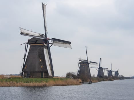 Netherlands rural landscape with windmills and canal at famous tourist site Kinderdijk in Holland