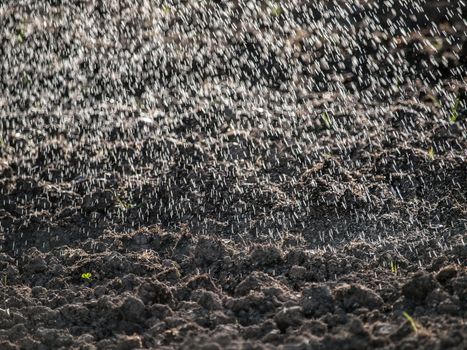 Sprayed drops of water falling on cultivated land like rain