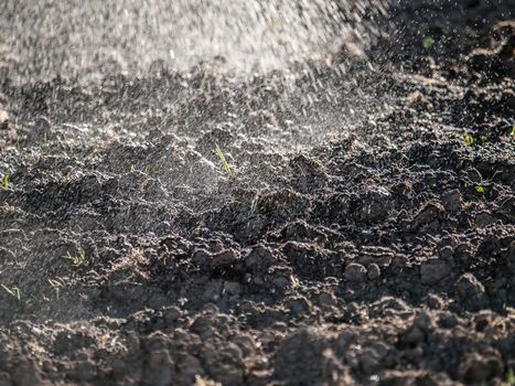 Sprayed drops of water falling on cultivated land like rain