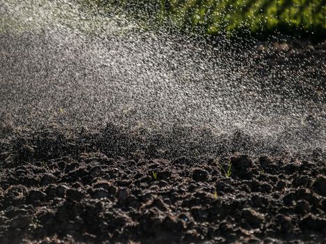 Sprayed drops of water falling on cultivated land like rain