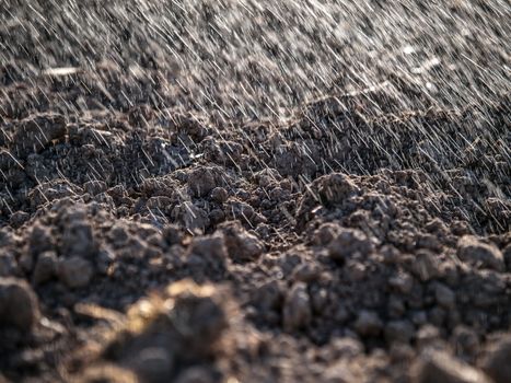 Sprayed drops of water falling on cultivated land like rain