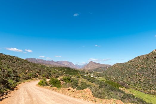 A farm and road landscape at Keurbos in the Cederberg Mountains of the Western Cape Province of South Africa