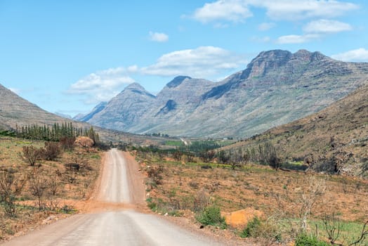 A road landscape near Keurbos in the Cederberg Mountains of the Western Cape Province of South Africa