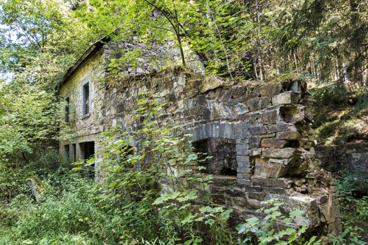 old dilapidated building in the forest overgrown by plants and shrubs