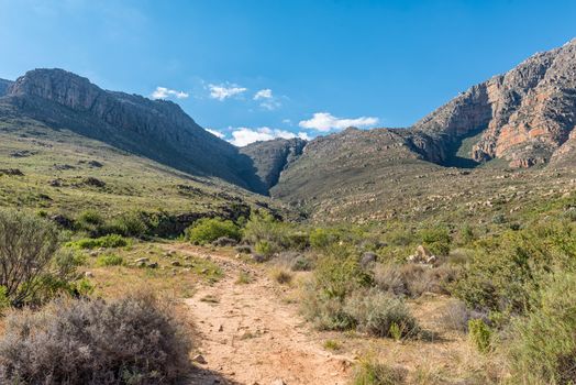 Trail to the Middelberg Waterfall at Algeria in the wilderness area of the Cederberg Mountains in the Western Cape Province of South Africa