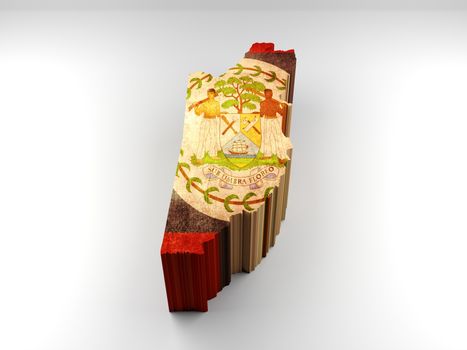 Belize 3d textured map with a Belizean flag on a white background