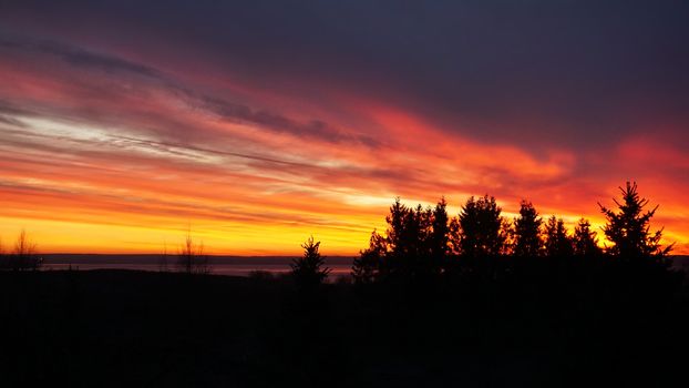 Horizontal silhouette of sunset forest landscape background. Evening sunset with beautiful pink picturesque clouds. dark sunset with crimson clouds in sun beams.