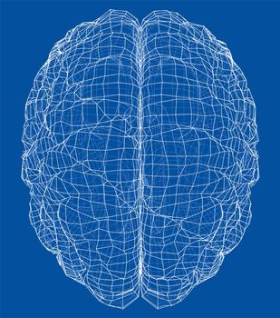 3D outline brain. Wire-frame style. 3d illustration
