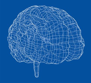 3D outline brain. Wire-frame style. 3d illustration