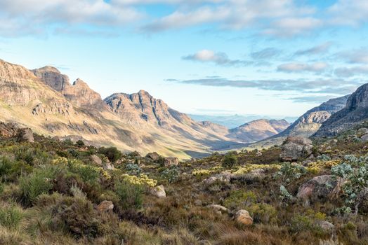 View from the Uitkyk Pass towards Algeria in the Cederberg Mountains in the Western Cape of South Africa. Wild flowers are visible