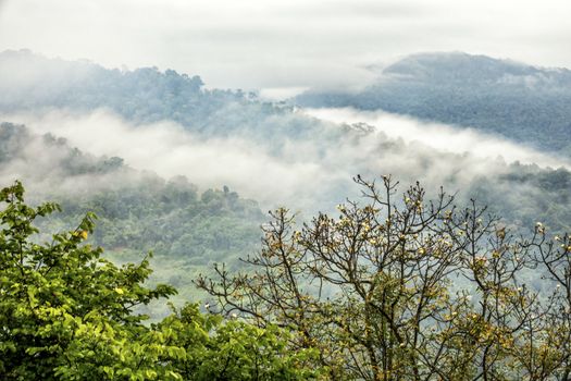 The cloudy Doi Suthep Mountain in Chiang Mai, Thailand.