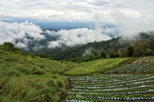 The Mon Cheam mountain of Chiang Mai, Thailand.