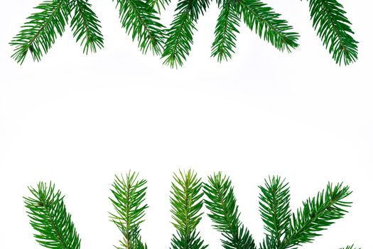 New year copyspace background, green contiferous fir tree branches frame