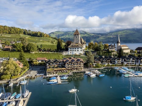 The bird's eye view of the Spiez town of the Switzerland.