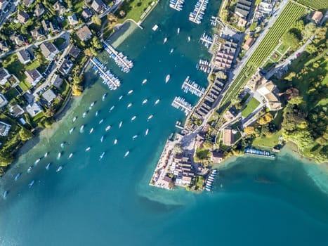 The bird's eye view of the Spiez town of the Switzerland.