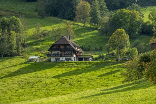 The farmland in Kniebis town of Germany.