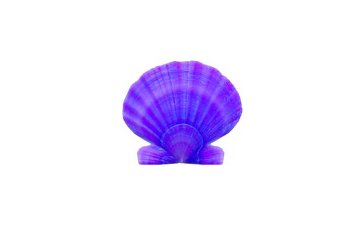 Marine life: light bright yellow orange round pearl seashell close-up on white background