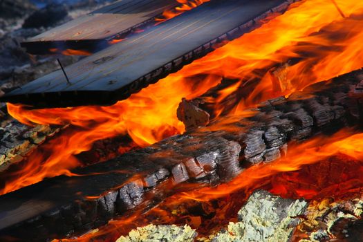 Closeup photo of wood burning in fire. One rusty nail still standing in one piece of wood.