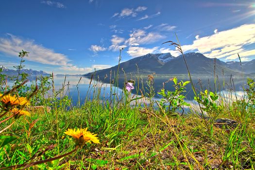 Yellow flowers on foreground of a beautiful landscape with mountains reflecting from the water surface.