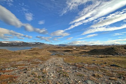 Arctic summer landscape at the high grounds of northern Norway during polar day when sun never sets.