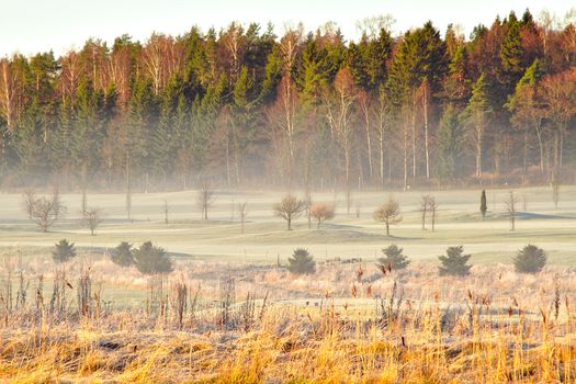 Foggy morning after the first cold night of the year. Winter is coming as leaves turn yellow and nights get colder.