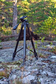 Photographer's tripod standing on the rock between green nature.