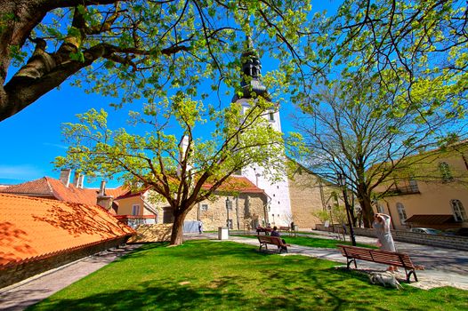A beautiful summer view of Tallinn Old Town, Estonia. Park with green lawn and fresh leaves on trees surrounded with old historical architecture.