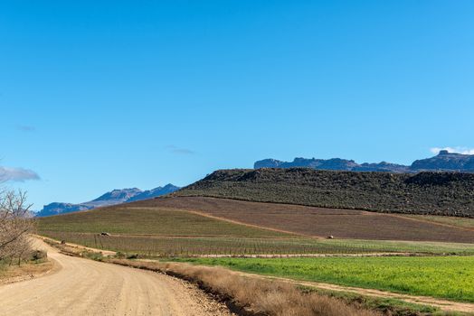 A farm scene at Dwarsrivier in the Cederberg Mountains in the Western Cape Province of South Africa