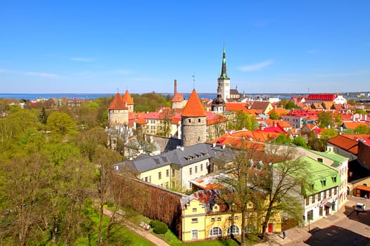 Stunning view to the Old Town of Tallinn from the high ground. Red and green rooftops of houses and towers in the sunlight, horizon of the sea on the background.