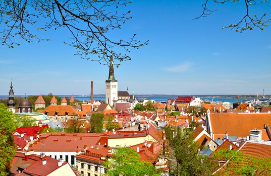 A beautiful view of the Old Town of Tallinn, Estonia. Photo taken from high ground so red rooftops and the horizon is visible.